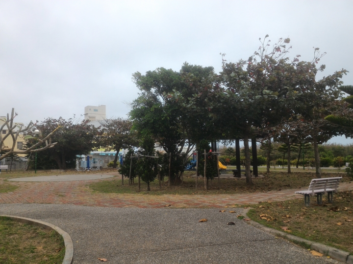 公園落葉飄呀飄，風兒吹呀吹，大葉欖仁樹與雞蛋花落葉掉不停，從秋吹到夏，落葉飄入住家，天天掃不停。