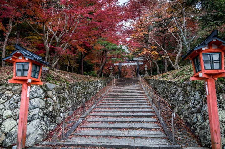 [A57]京都10日蜜月自由行(圖多)