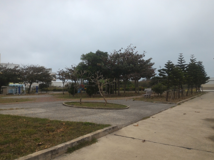 公園落葉飄呀飄，風兒吹呀吹，大葉欖仁樹與雞蛋花落葉掉不停，從秋吹到夏，落葉飄入住家，天天掃不停。