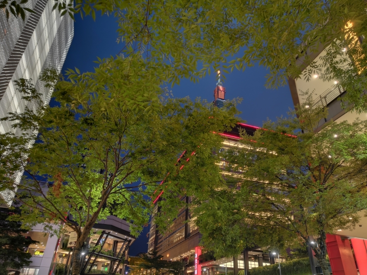 Nova 3升級後的夜景拍照