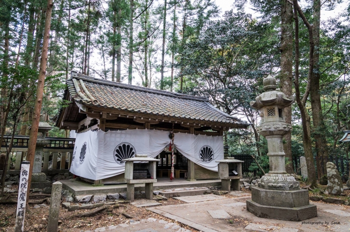 [A57]京都10日蜜月自由行(圖多)