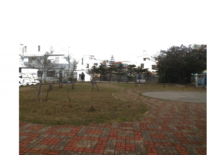 公園落葉飄呀飄，風兒吹呀吹，大葉欖仁樹與雞蛋花落葉掉不停，從秋吹到夏，落葉飄入住家，天天掃不停。