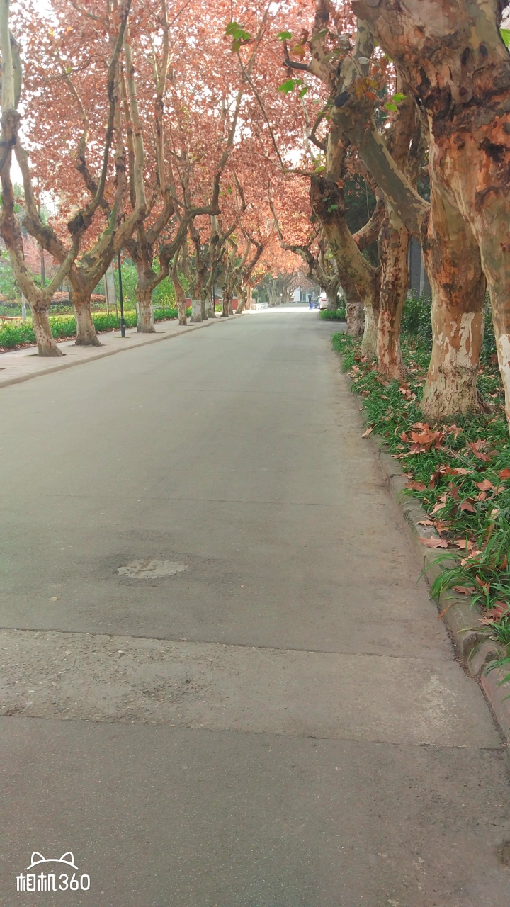 陸股最好的機會了