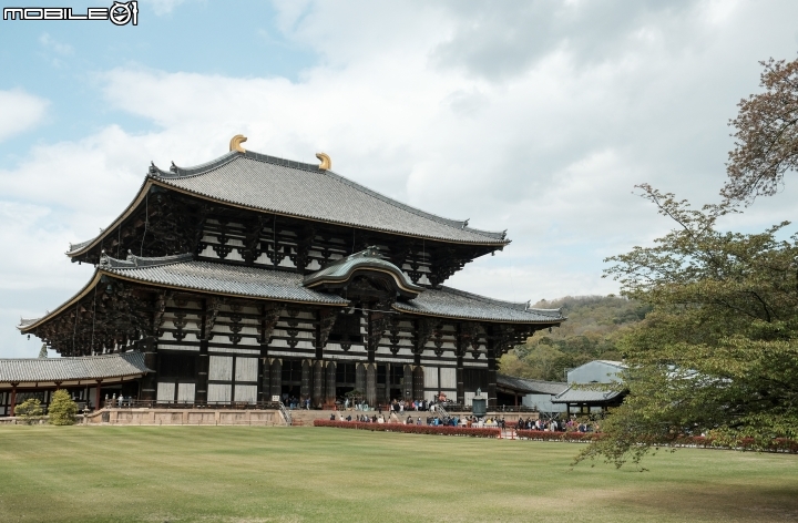 2018 年終回顧 SONY A7R3 [ 少部分富士及NIKON ]圖多
