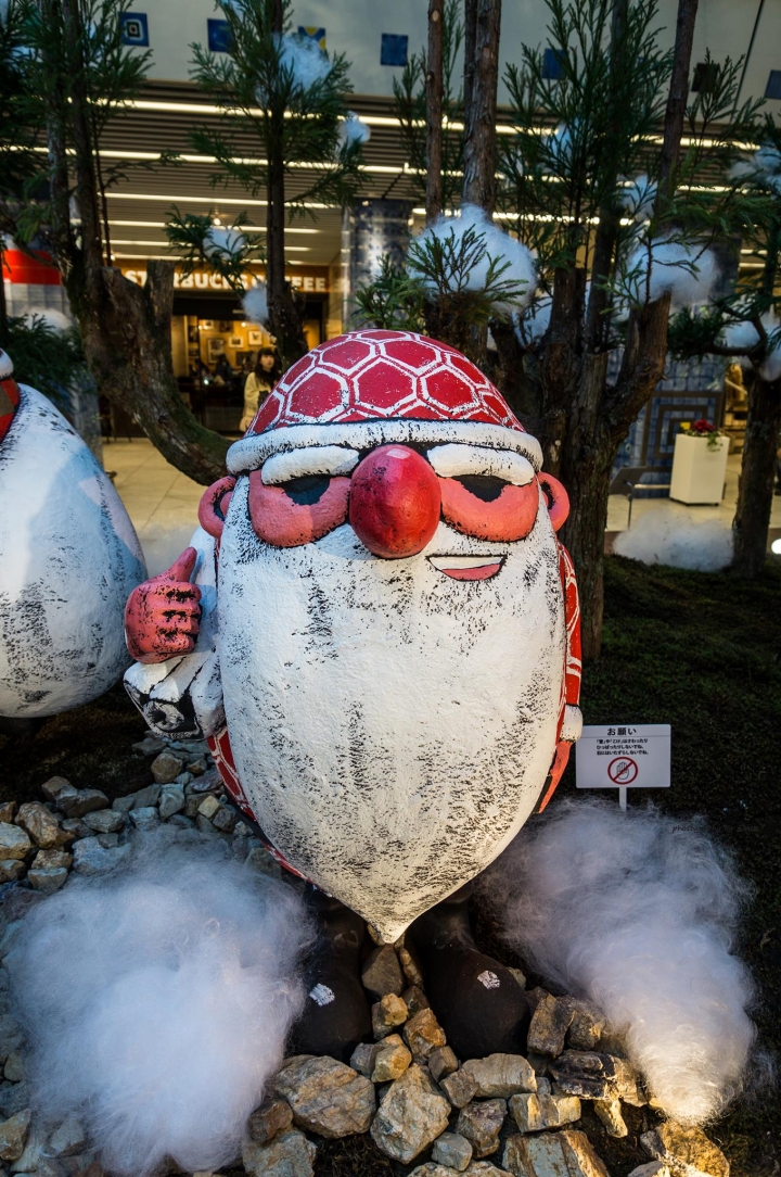 [A57]京都10日蜜月自由行(圖多)