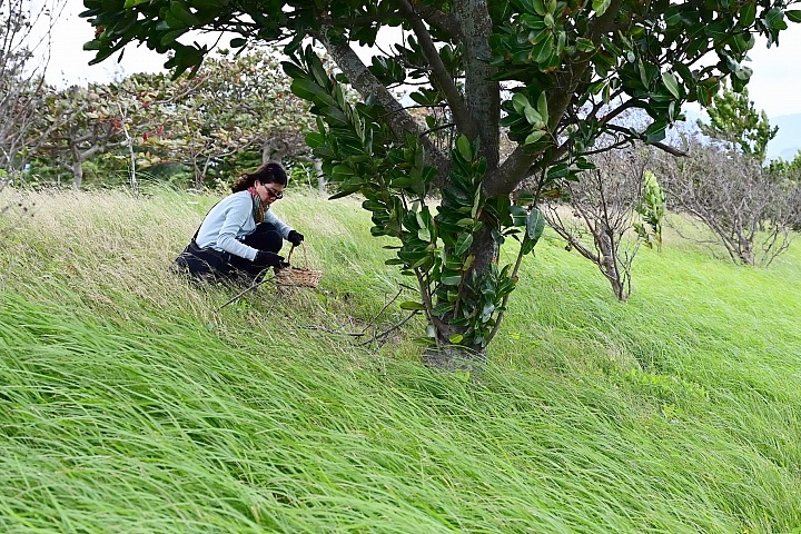 適合Z7/Z6的輕便型腳架AOKA cmp163cl開箱