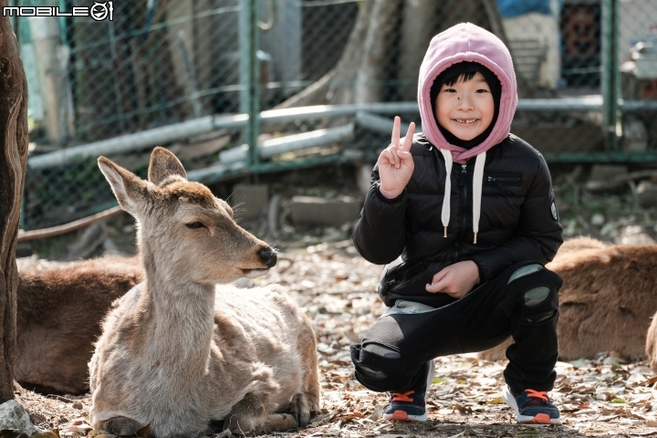 2018 年終回顧 SONY A7R3 [ 少部分富士及NIKON ]圖多
