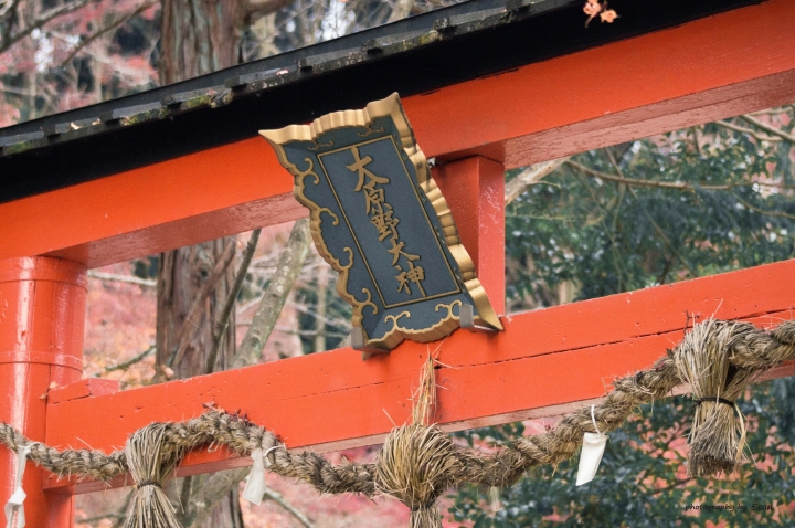 [A57]京都10日蜜月自由行(圖多)