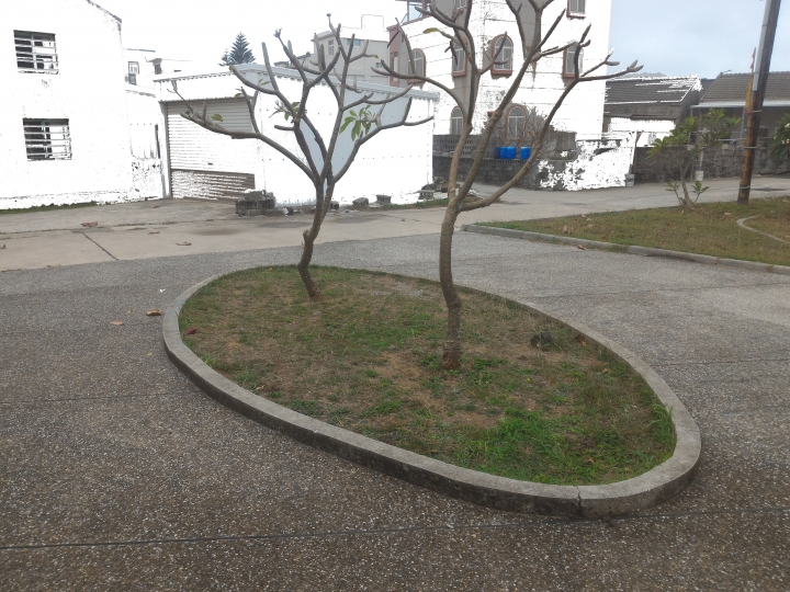 公園落葉飄呀飄，風兒吹呀吹，大葉欖仁樹與雞蛋花落葉掉不停，從秋吹到夏，落葉飄入住家，天天掃不停。