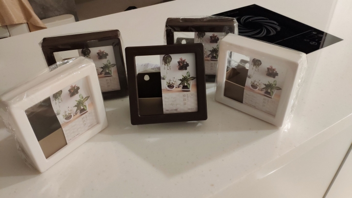 [開箱] DIY 綠牆/植栽牆/生態牆 in 浴室 (壁掛花器: 療癒系 植栽盆 方形)