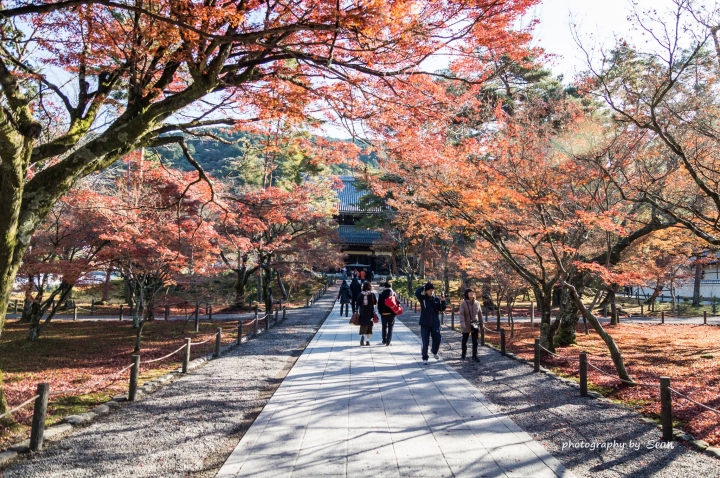 [A57]京都10日蜜月自由行(圖多)