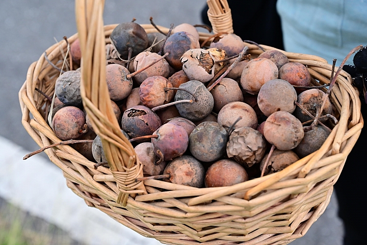 適合Z7/Z6的輕便型腳架AOKA cmp163cl開箱