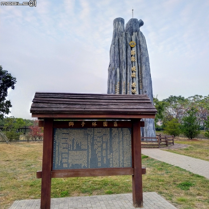 紅色台灣五葉松 嘉義市東區香湖公園獅子林 12/30