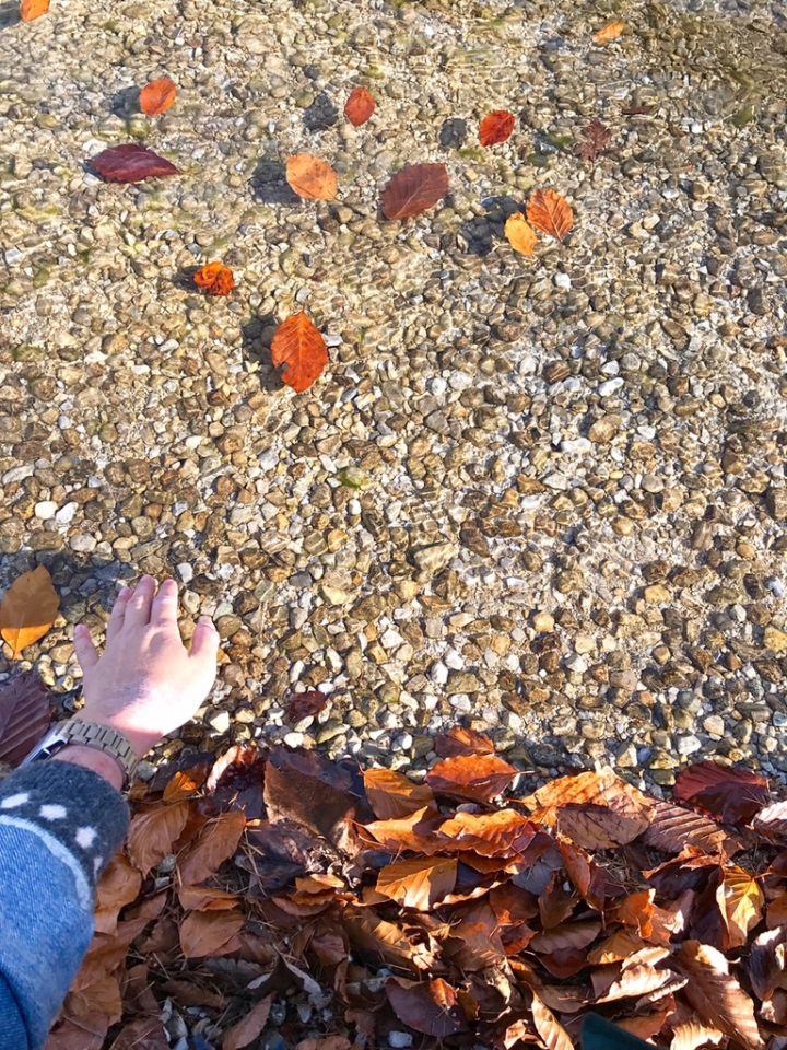 【Berchtesgaden．走跳】德國仙境國王湖Königssee一日遊船與紅蔥頭教堂