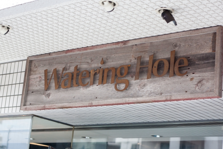 【食記。酒吧】東京精釀啤酒入門旅(2) 代代木 Watering Hole ウォータリングホール IPA Craft Beet 手工 美食 喝酒 新宿 推薦