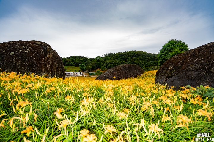 花蓮-見花忘憂~金針花之旅~(MR.Sam/赤科山/六十石山/慶修院/落雨松)