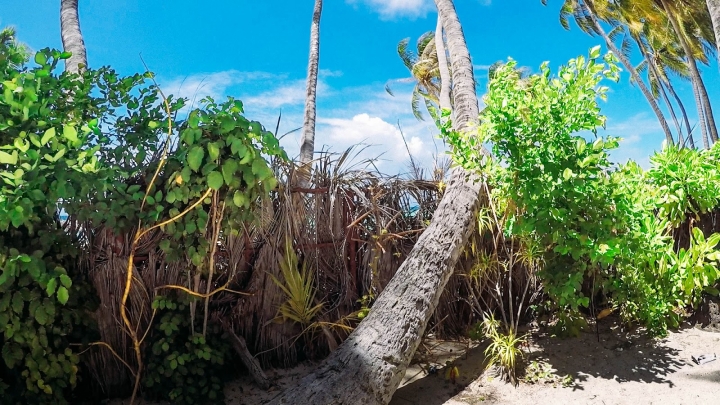 馬爾地夫海島竟然禁止穿比基尼!? 5分鐘帶你環島居民島Maafushi！(上集)｜馬爾地夫 EP 8｜居民島｜旅行，路上。