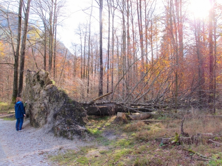 【Berchtesgaden．走跳】德國仙境國王湖Königssee一日遊船與紅蔥頭教堂