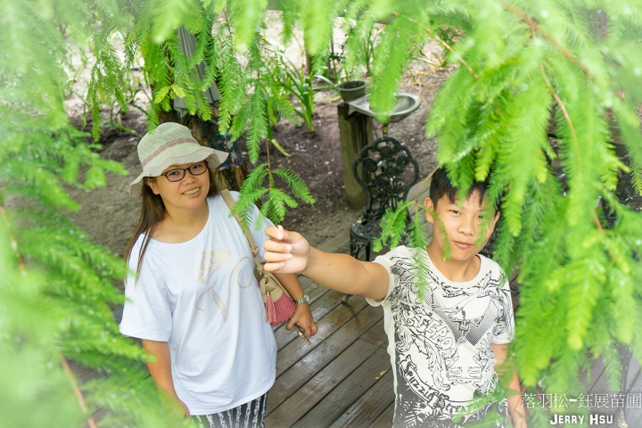 花蓮-見花忘憂~金針花之旅~(MR.Sam/赤科山/六十石山/慶修院/落雨松)