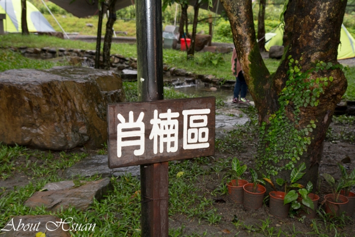 全家的首露交給-松果戶外/小松鼠帶你去露營