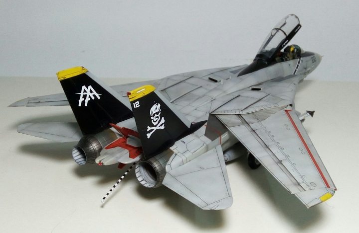 Hasegawa 長谷川  1/48 F-14 TOMCAT 雄貓式戰鬥機