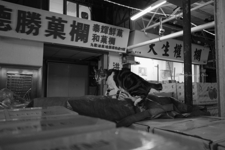窮人頻道 - 國產七工匠 12mm F2.8 (X mount) 大樓