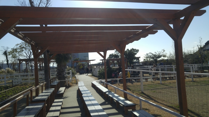 [2018.12.30-2019.01.01]兵庫県神戸市跨年散走之旅(嗯哼，大推神戶牛的鐵板燒太好吃啦！！！)