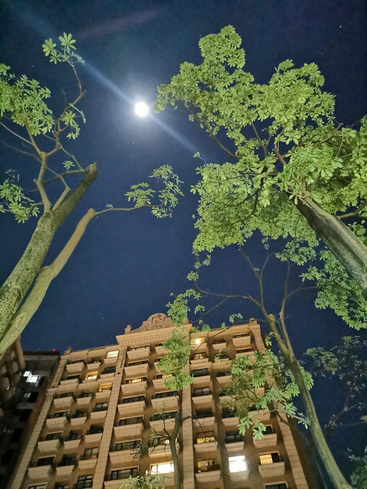 (更新) Mate 20 Pro 美照圖集 (Leica 3 鏡完全應用解析)