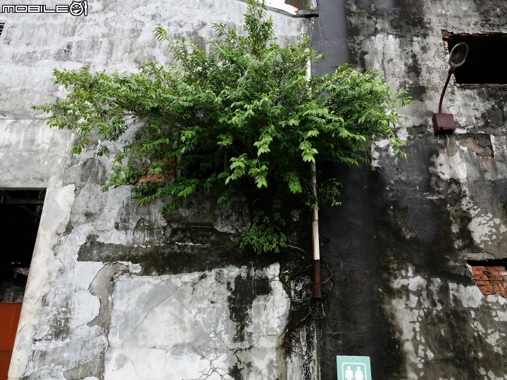 宜蘭 五結 中興文化創意產業園區 —造紙工廠幾成廢墟,翻轉成IG打卡新景點