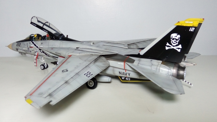 Hasegawa 長谷川  1/48 F-14 TOMCAT 雄貓式戰鬥機