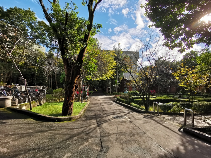 (更新) Mate 20 Pro 美照圖集 (Leica 3 鏡完全應用解析)