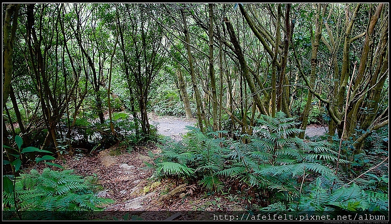 路線紀錄：【金面山】【剪刀石山】【論劍山】【大崙頭山】【大崙尾山】〖翠山步道〗