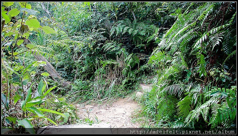 路線紀錄：【金面山】【剪刀石山】【論劍山】【大崙頭山】【大崙尾山】〖翠山步道〗