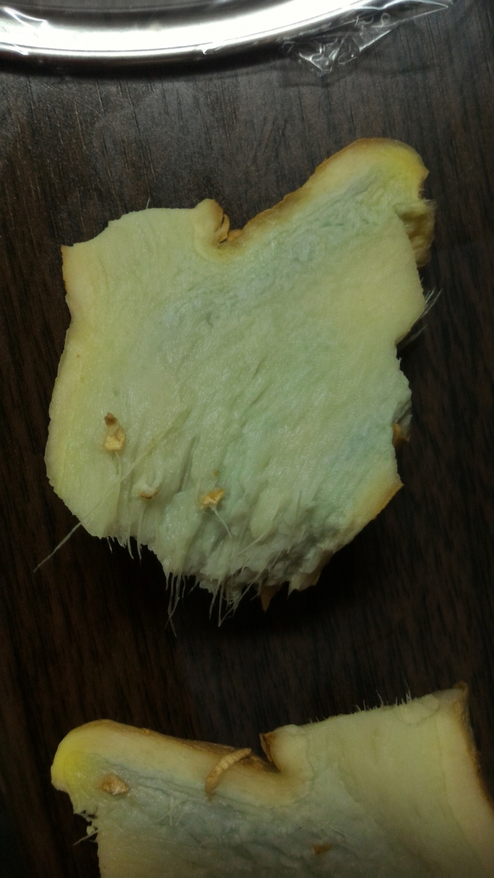 請問這樣的薑是壞掉嗎?