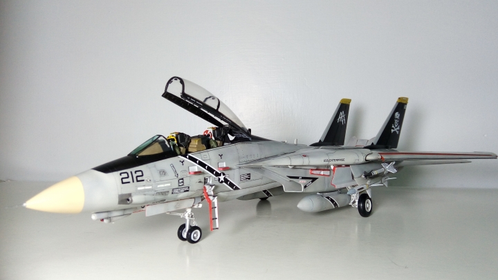 Hasegawa 長谷川  1/48 F-14 TOMCAT 雄貓式戰鬥機