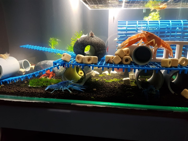 #問 水族造景