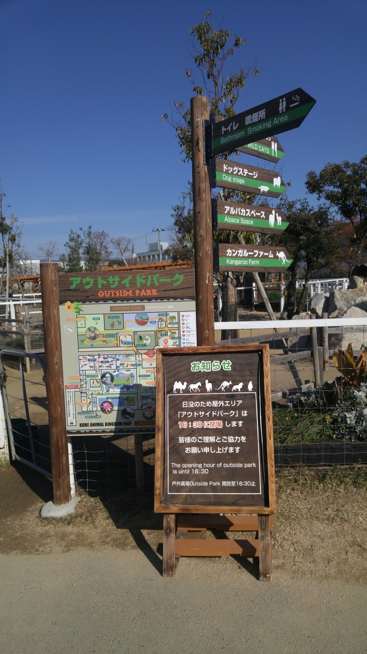 [2018.12.30-2019.01.01]兵庫県神戸市跨年散走之旅(嗯哼，大推神戶牛的鐵板燒太好吃啦！！！)