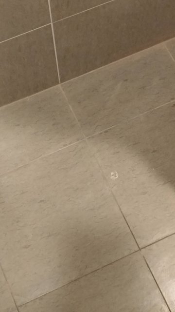 浴室磁磚癌部分拆除地磚