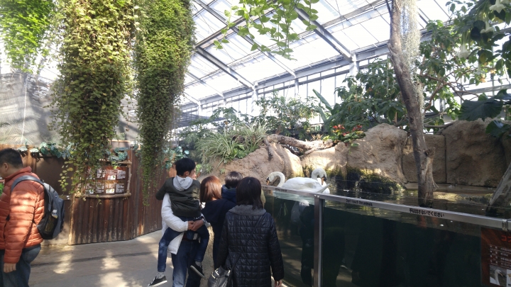 [2018.12.30-2019.01.01]兵庫県神戸市跨年散走之旅(嗯哼，大推神戶牛的鐵板燒太好吃啦！！！)