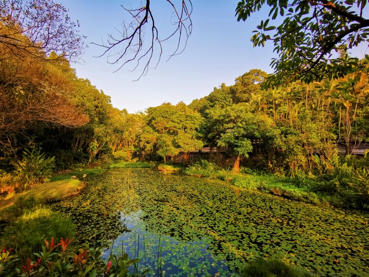 (更新) Mate 20 Pro 美照圖集 (Leica 3 鏡完全應用解析)