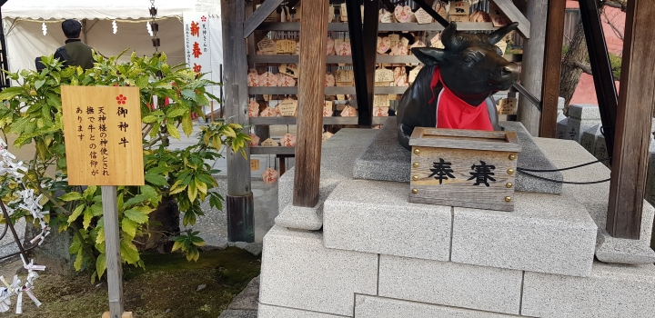 [2018.12.30-2019.01.01]兵庫県神戸市跨年散走之旅(嗯哼，大推神戶牛的鐵板燒太好吃啦！！！)