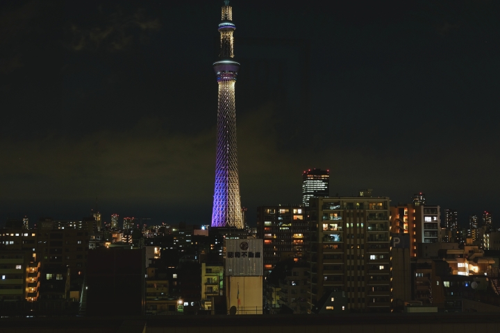 7天 带着儿子 东京狂奔