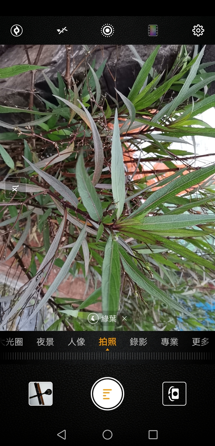 Huawei Mate 20 拍攝到點 優質影象 ~ 魔鬼藏在細節裡~