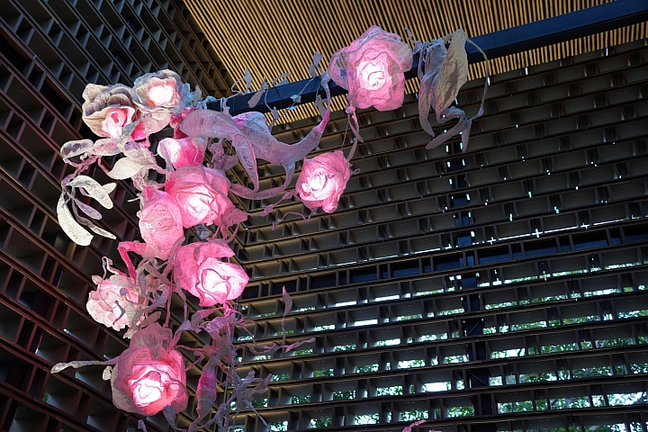 [傷眼照分享，慎入!!!]花博半日遊