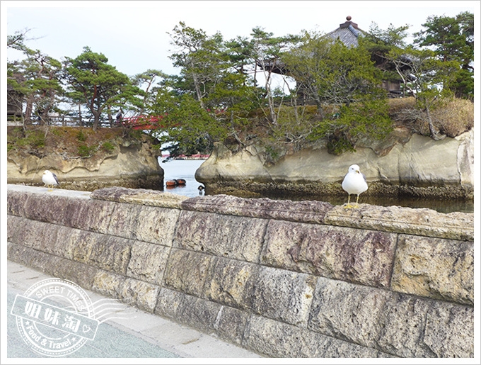 日本東北自由行-松島