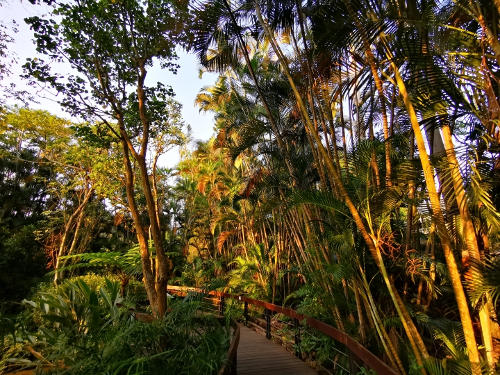 (更新) Mate 20 Pro 美照圖集 (Leica 3 鏡完全應用解析)