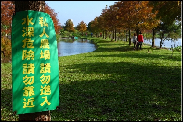 2019.01.10【單車遊記】騎尋宜蘭落羽松