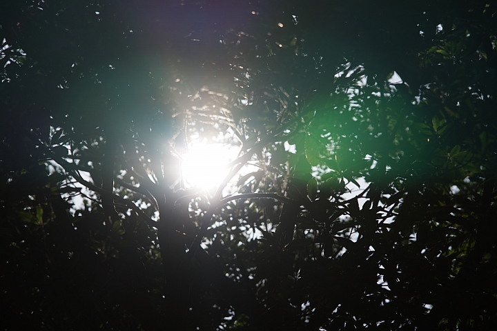 Samyang 85mm f/1.8 ED UMC CS 手動鏡評測｜輕巧與解像力兼備 同時支援 APS-C 與 M4/3 接環！
