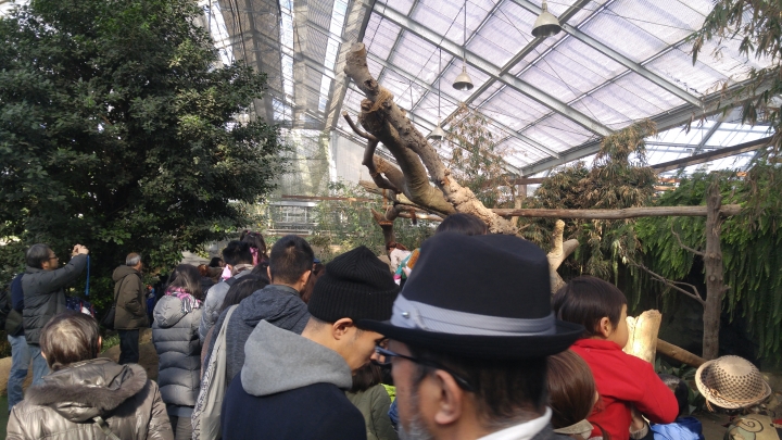 [2018.12.30-2019.01.01]兵庫県神戸市跨年散走之旅(嗯哼，大推神戶牛的鐵板燒太好吃啦！！！)