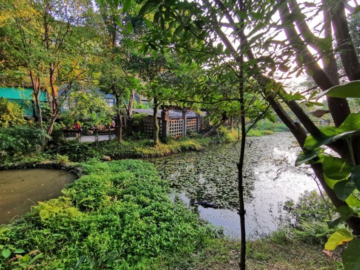 (更新) Mate 20 Pro 美照圖集 (Leica 3 鏡完全應用解析)